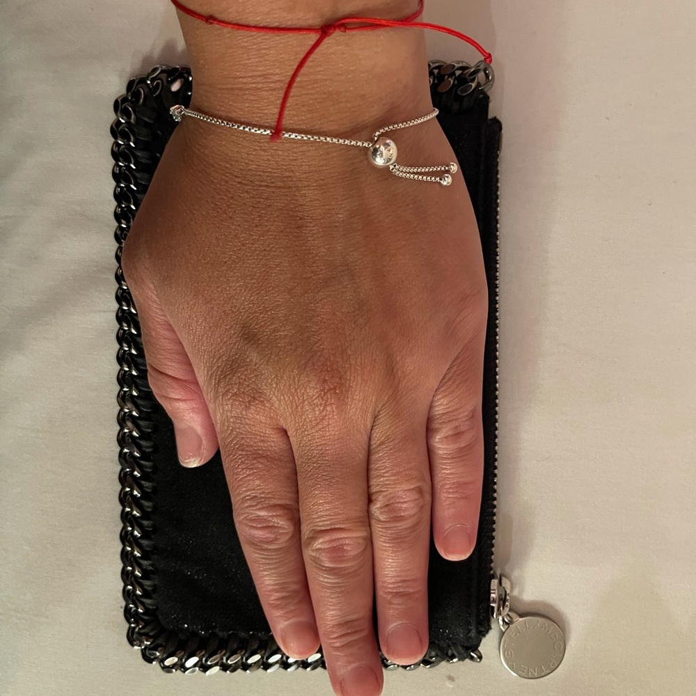 Stella McCartney wallet pouch